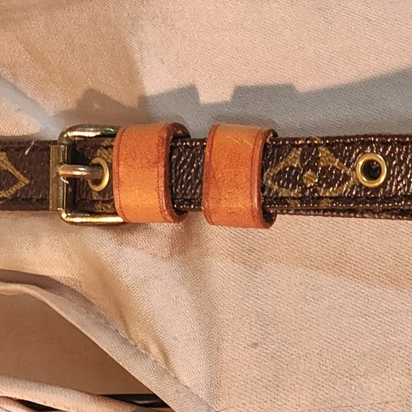 Louis Vuitton Amazone Brown Monogram Bag - Picture 12 of 17